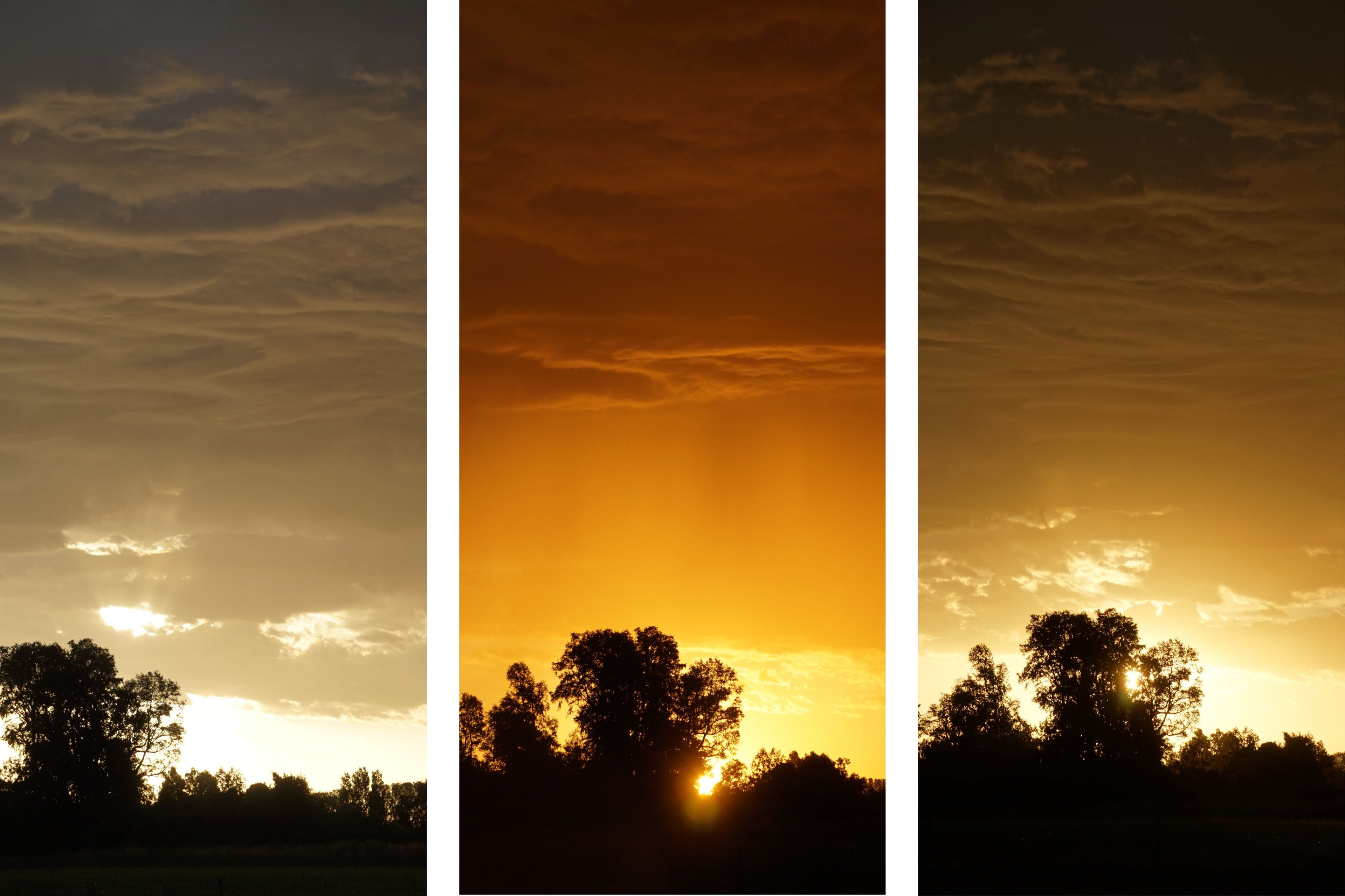 Visual Sequences