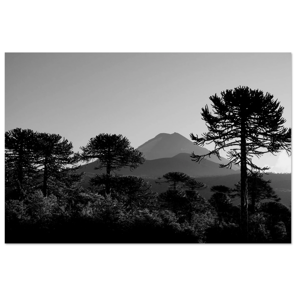 8ef5ae3a-4690-4122-b2d1-819697e8ae3c