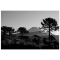 8ef5ae3a-4690-4122-b2d1-819697e8ae3c