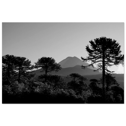8ef5ae3a-4690-4122-b2d1-819697e8ae3c