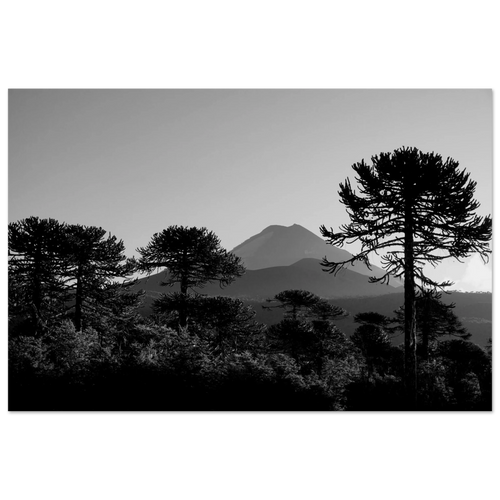 d358c7ca-4626-44d2-bb15-2960405297b9