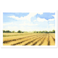 d9899ff0-e2b1-4030-b87e-3011e8b99de2