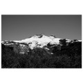 f5459946-52ff-4350-bae0-f6c7b03a2810
