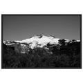 ff4f6271-6b73-4e9b-b733-dfbf4a77c093